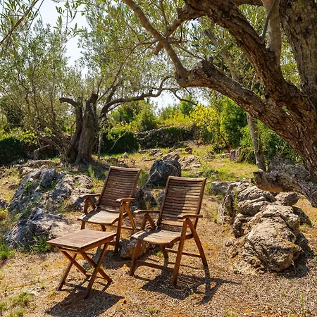 Villa Artorius Veli Iž